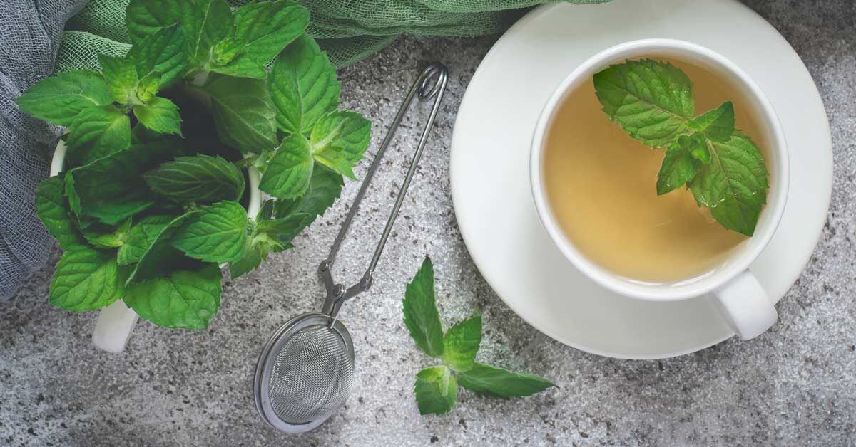 Teas - Peppermint Tea