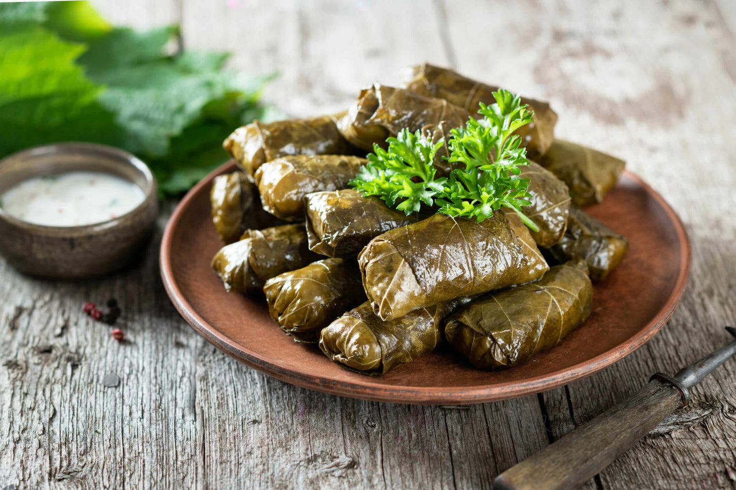 Appetizer - Stuffed Grape Leaves (Vegan)