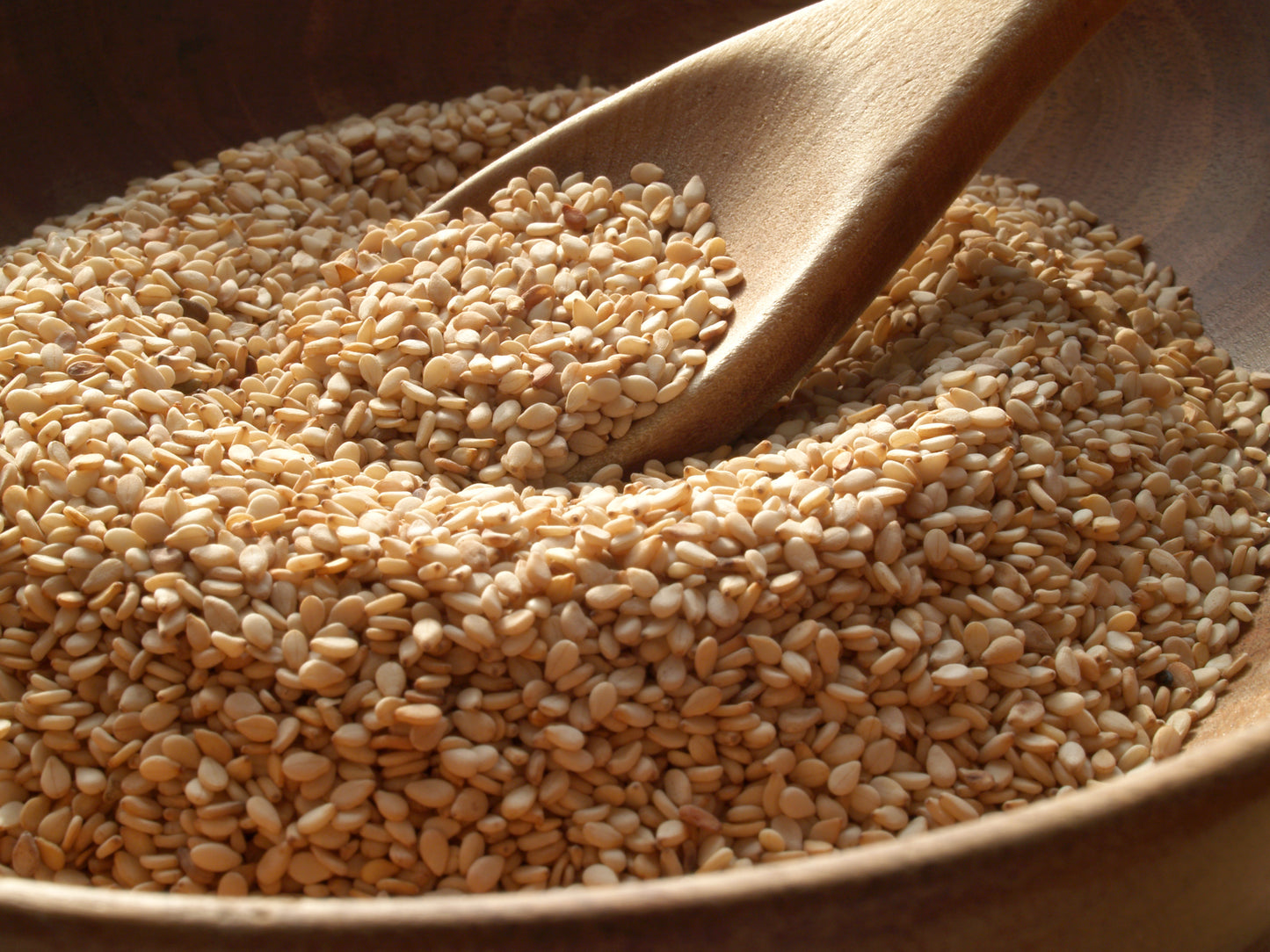 Seeds - Sesame Seeds