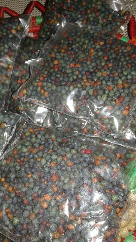 Mastic Seeds - Pistacia Lentiscus 3oz